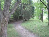 The Pereslavl Arboretum